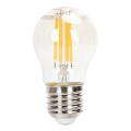 Λαμπτήρας Dimming LED FILAMENT G45 E27/4W/230V 2200K - Aigostar