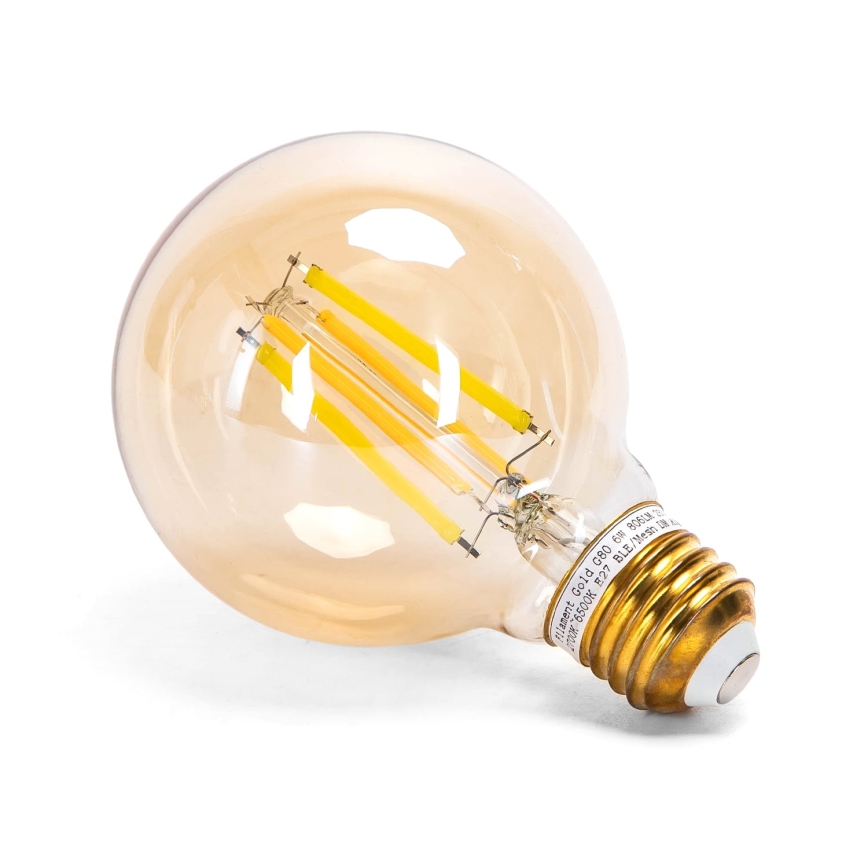 Λαμπτήρας Dimming LED FILAMENT MESH Smart G80 E27/6W/230V 2700-6500K - Aigostar