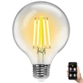 Λαμπτήρας Dimming LED FILAMENT G95 E27/6W/230V 2700-6500K Wi-Fi - Aigostar