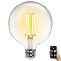 Λαμπτήρας Dimming LED FILAMENT MESH Smart G125 E27/6W/230V 2700-6500K - Aigostar