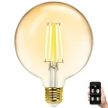 Λαμπτήρας Dimming LED FILAMENT MESH Smart G125 E27/6W/230V 2700-6500K - Aigostar