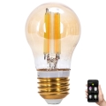 Λαμπτήρας Dimming LED FILAMENT MESH Smart G45 E27/4,5W/230V 2700-6500K - Aigostar