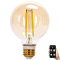Λαμπτήρας Dimming LED FILAMENT MESH Smart G80 E27/6W/230V 2700-6500K - Aigostar