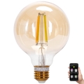 Λαμπτήρας Dimming LED FILAMENT MESH Smart G95 E27/6W/230V 2700-6500K - Aigostar