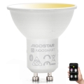 Λαμπτήρας Dimming LED GU10/6,5W/230V 2700-6500K - Aigostar