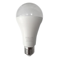 Λαμπτήρας LED A65 E27/18W/230V 4200K