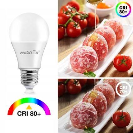 Λαμπτήρας LED A70 E27/17W/230V 6500K