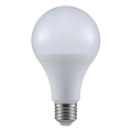 Λαμπτήρας LED A80 E27/20W/230V 3000K