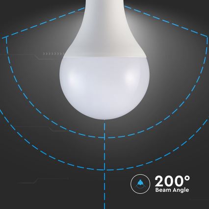 Λαμπτήρας LED A80 E27/20W/230V 3000K