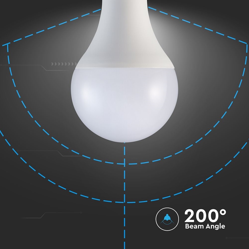 Λαμπτήρας LED A80 E27/20W/230V 3000K