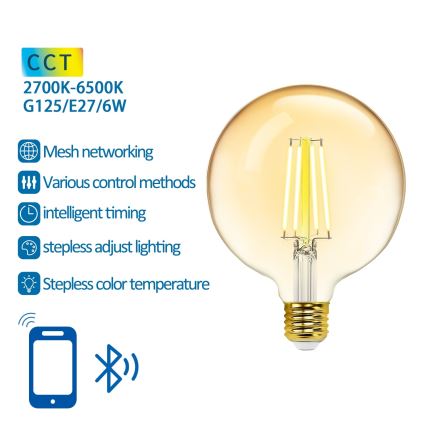 Λαμπτήρας LED FILAMENT G125 E27/6W/230V 2700-6500K - Aigostar