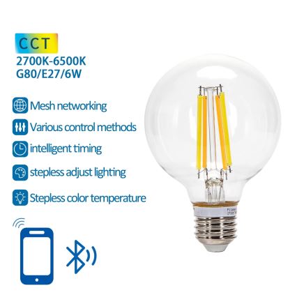 Λαμπτήρας LED FILAMENT G80 E27/6W/230V 2700-6500K - Aigostar