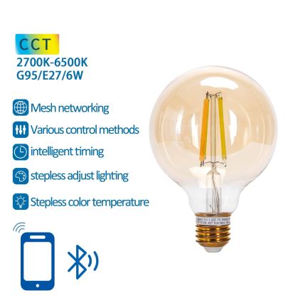 Λαμπτήρας LED FILAMENT G95 E27/6W/230V 2700-6500K - Aigostar