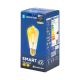 Λαμπτήρας LED FILAMENT ST64 E27/6W/230V 2700-6500K - Aigostar