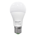 Λαμπτήρας LED LEDSTAR ECO A65 E27/18W/230V 4000K