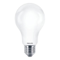 Λαμπτήρας LED Philips A67 E27/17,5W/230V 2700K