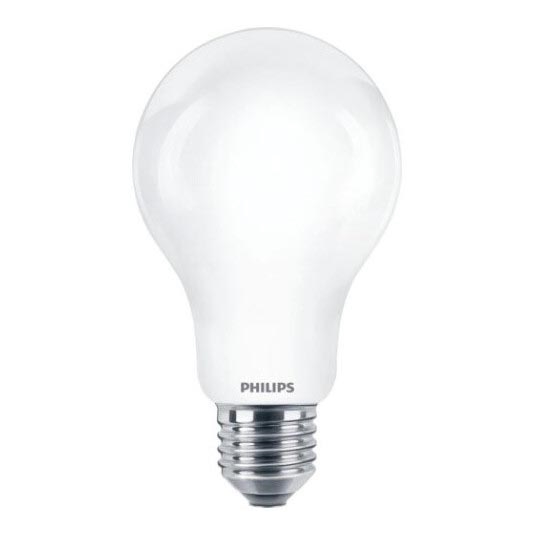 Λαμπτήρας LED Philips A67 E27/17,5W/230V 2700K
