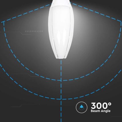 Λαμπτήρας LED SAMSUNG CHIP E40/60W/230V 6500K