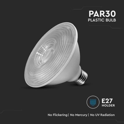 Λαμπτήρας LED SAMSUNG CHIP PAR30 E27/11W/230V 6500K