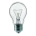 Λαμπτήρας βαρέως τύπου E27/60W/230V 2200K