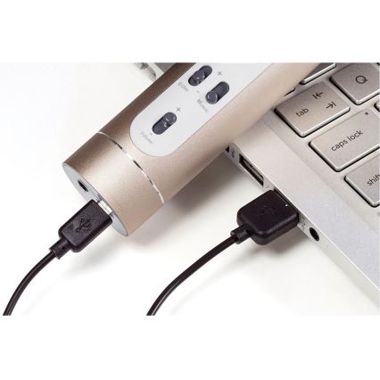 Μικρόφωνο καραόκε 6W/5V 1500 mAh Bluetooth χρυσό