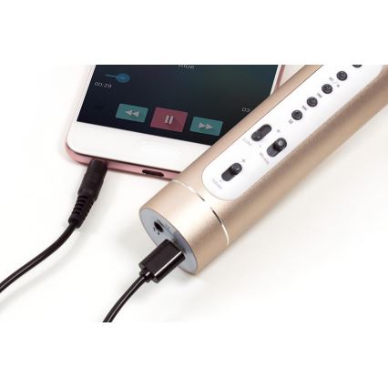 Μικρόφωνο καραόκε 6W/5V 1500 mAh Bluetooth χρυσό