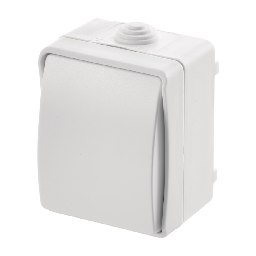 Οικιακός διακόπτης εναλλασσόμενου ρεύματος 250V/10A IP54