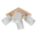 Οροφιαίο φωτιστικό σημείου APRILLIA 4xE27/25W/230V /γκρι πεύκο