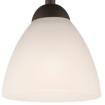 Πλαφονιέρα οροφής ADRIANO 1xE27/60W/230V οξιά