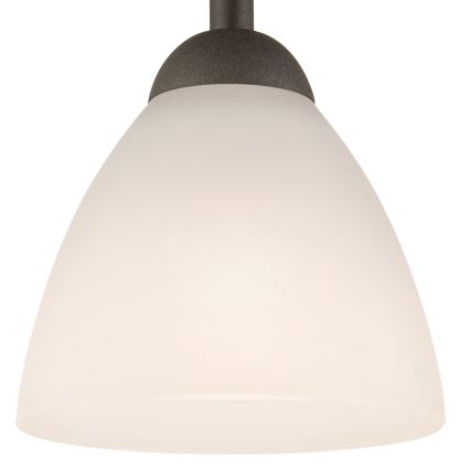 Πλαφονιέρα οροφής ADRIANO 1xE27/60W/230V οξιά