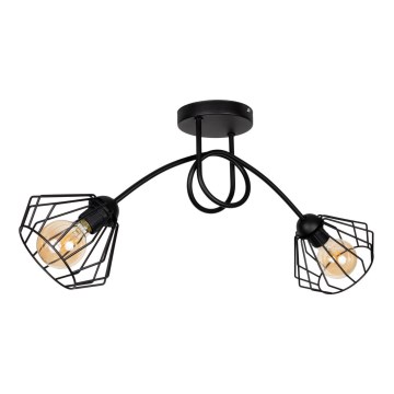 Πλαφονιέρα οροφής CEED 2xE27/60W/230V
