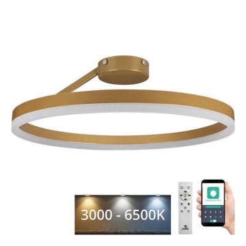 Πλαφονιέρα οροφής ντιμαριζόμενη LED LED/40W/230V 3000-6500K χρυσό + τηλεχειριστήριο