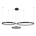Πολύφωτο LED με συρματόσχοινο 3xLED/19W/230V 4000K μαύρο