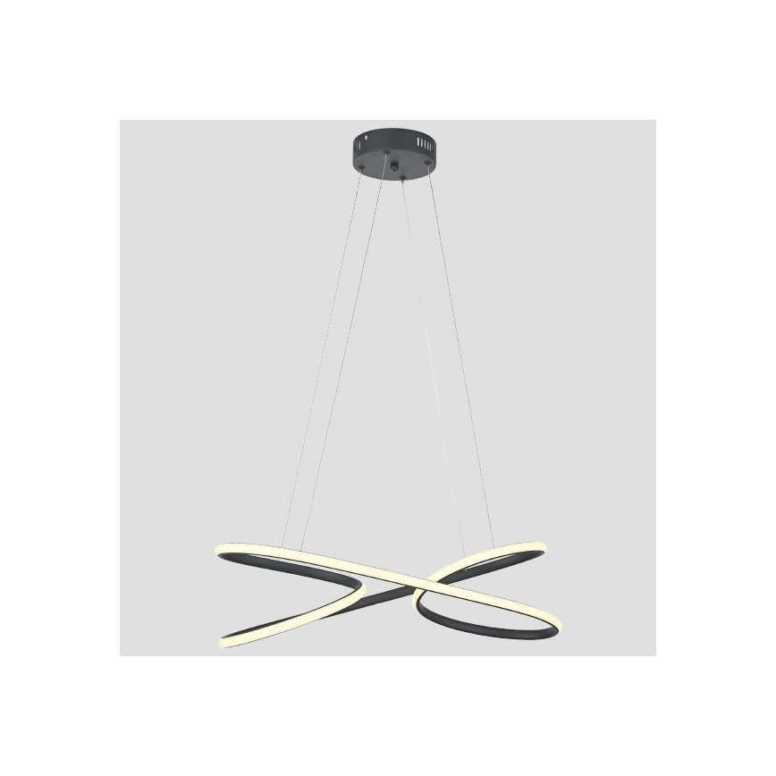 Πολύφωτο LED με συρματόσχοινο LED/40W/230V 4000K μαύρο