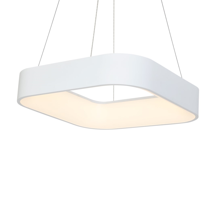 Πολύφωτο LED σε σχοινί ASTRO 1xLED/24W/230V