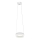 Πολύφωτο LED σε σχοινί RING LED/12W/230V