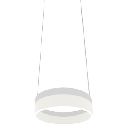 Πολύφωτο LED σε σχοινί RING LED/12W/230V