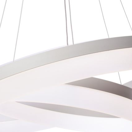 Πολύφωτο LED σε σχοινί RING με τηλεχειριστήριο LED/60W/230V