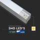 Πολύφωτο LED σε σχοινί SAMSUNG CHIP 1xLED/40W/230V 4000K  ασήμι