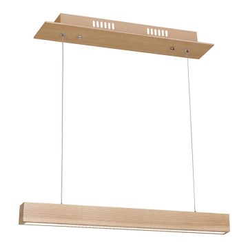 Πολύφωτο LED σε σχοινί TIMBER LED/12W/230V