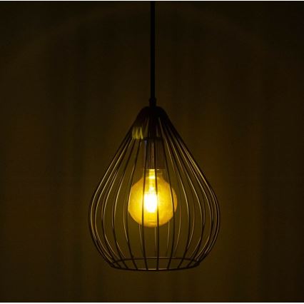 Πολύφωτο με συρματόσχοινο 1xE27/60W/230V
