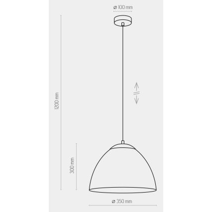 Πολύφωτο με συρματόσχοινο FARO 1xE27/60W/230V μαύρο