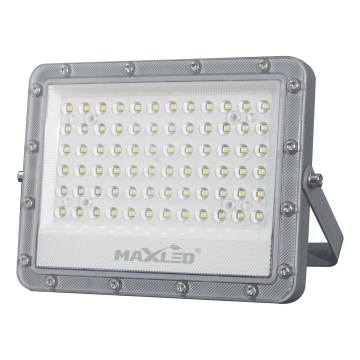 Προβολέας εξωτερικού χώρου LED LED/50W/230V 5000K IP65 γκρι