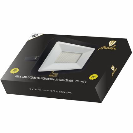 Προβολέας LED LED/100W/230V IP65