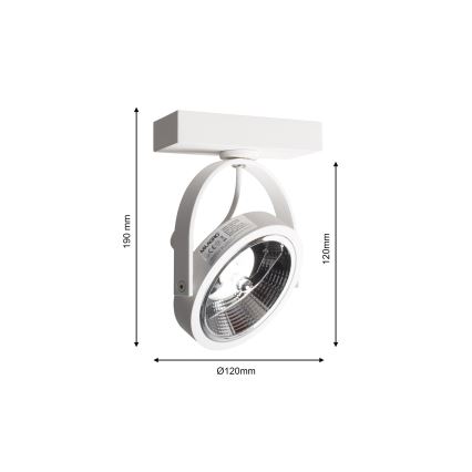 Προβολέας τοίχου LUGAR 1xAR111 - GU10/25W/230V
