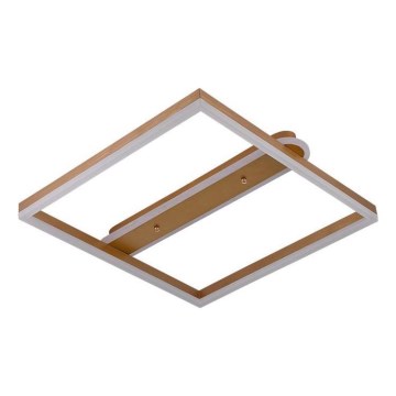 Ρυθμιζόμενο φωτιστικό οροφής LED/60W/230V 3000-6500K + τηλεχειριστήριο