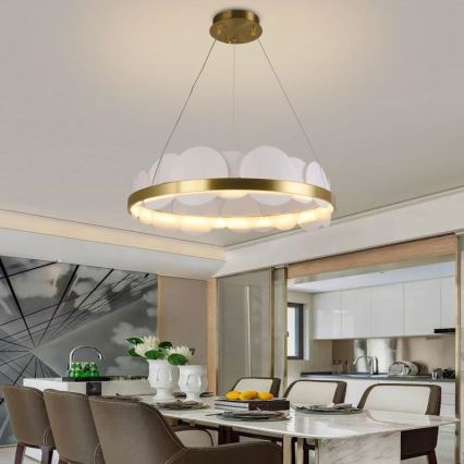 Ρυθμιζόμενο LED φωτιστικό οροφής με καλώδιο LED/40W/230V 3000-6500K χρυσό + τηλεχειριστήριο