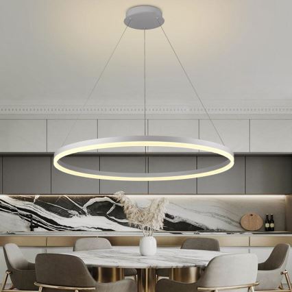 Ρυθμιζόμενο LED φωτιστικό οροφής με καλώδιο LED/55W/230V 3000-6500K διάμ. 80 εκ. + τηλεχειριστήριο