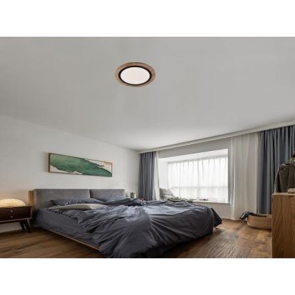 Ρυθμιζόμενο φωτιστικό οροφής LED/25W/230V 3000-6500K + τηλεχειριστήριο