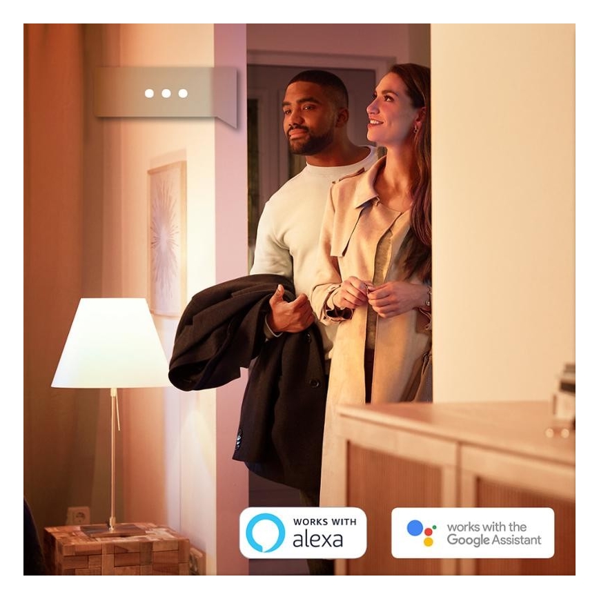 ΣΕΤ 2x Λαμπτήρες Dimmer LED Philips Hue WHITE E27/9W/230V 2700K